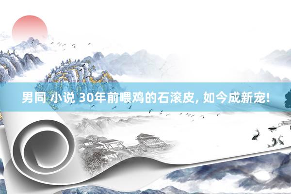男同 小说 30年前喂鸡的石滚皮， 如今成新宠!
