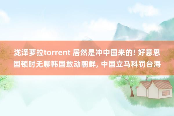 泷泽萝拉torrent 居然是冲中国来的! 好意思国顿时无聊韩国敢动朝鲜， 中国立马科罚台海