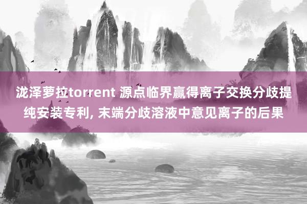 泷泽萝拉torrent 源点临界赢得离子交换分歧提纯安装专利， 末端分歧溶液中意见离子的后果